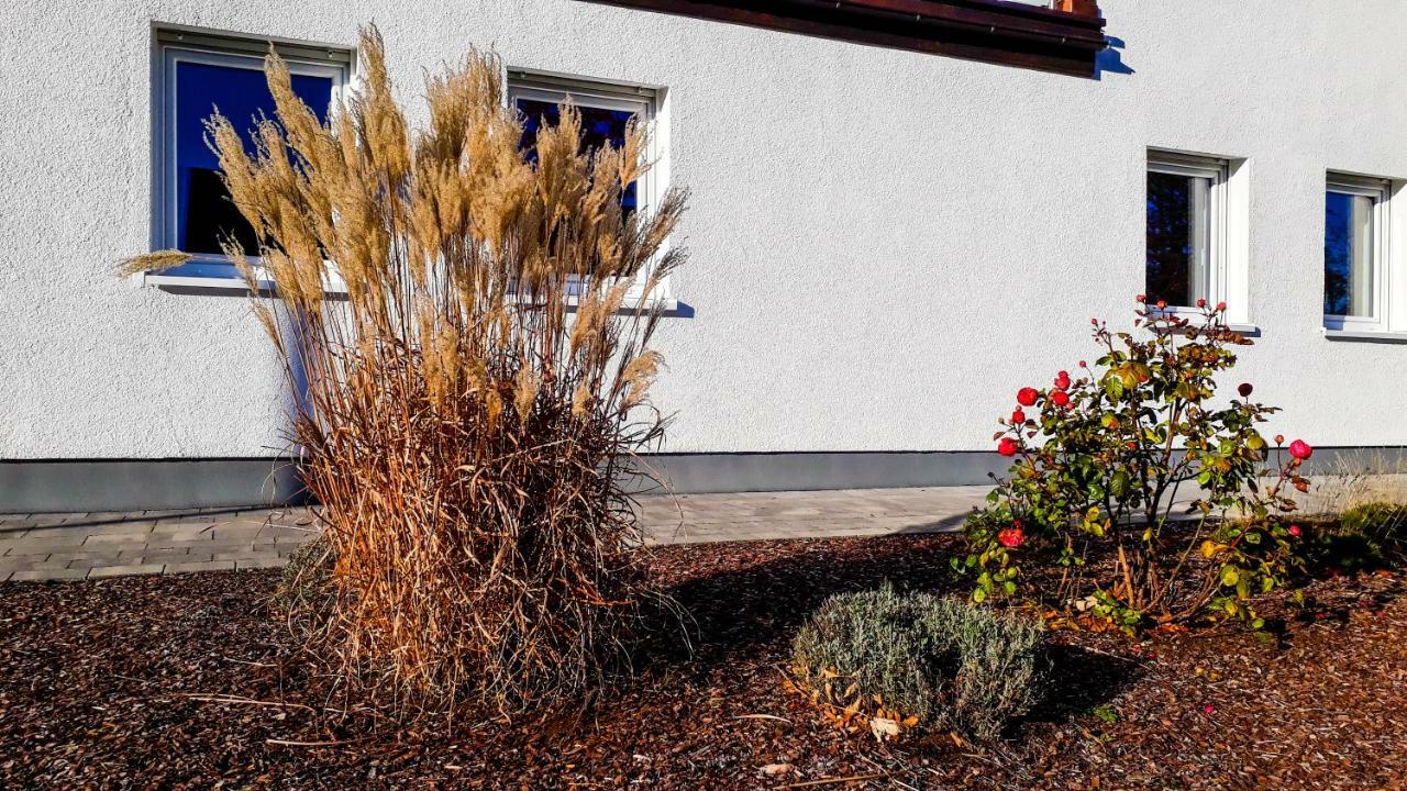 Apartment Schanzenstraße 690 m ü. M Winterberg Exterior foto
